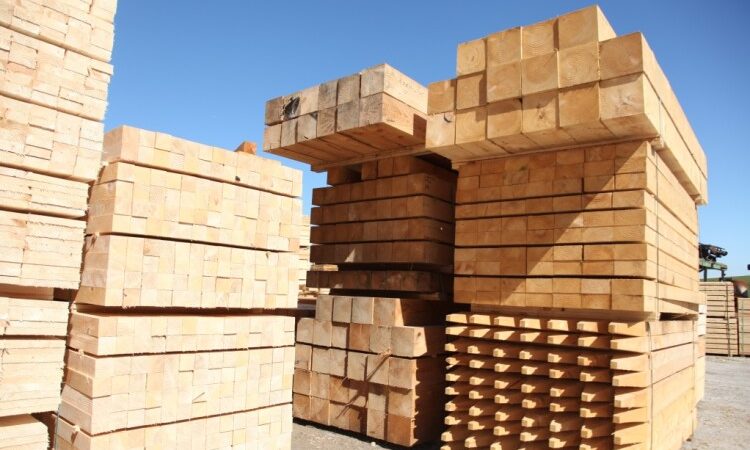 Timber imports on the rise again