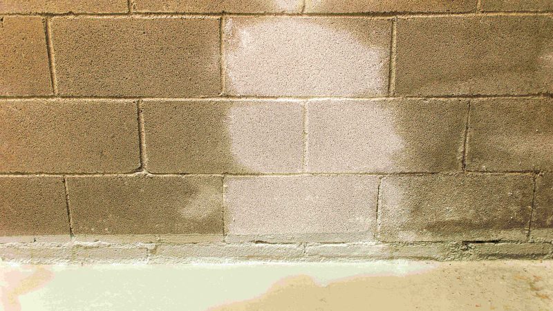 Basement Waterproofing With Febtank Super Waterproof Coating