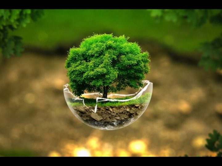 A. Proctor Group meets milestone sustainability target one year early