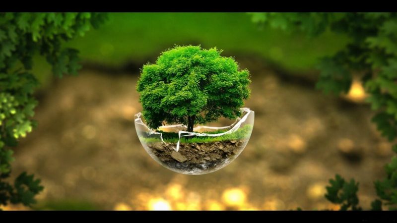 A. Proctor Group meets milestone sustainability target one year early